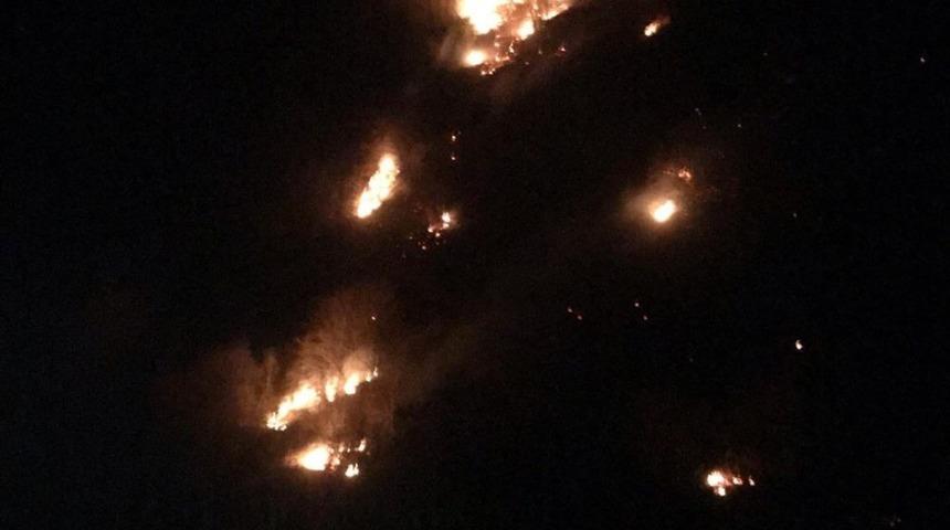 Ayvacık&rsquo;ta orman yangını