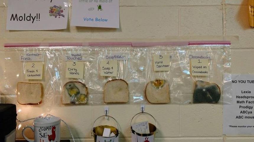 Ekmeklere dokunup dokunup duvara astılar! Sonuçlar inanılmaz