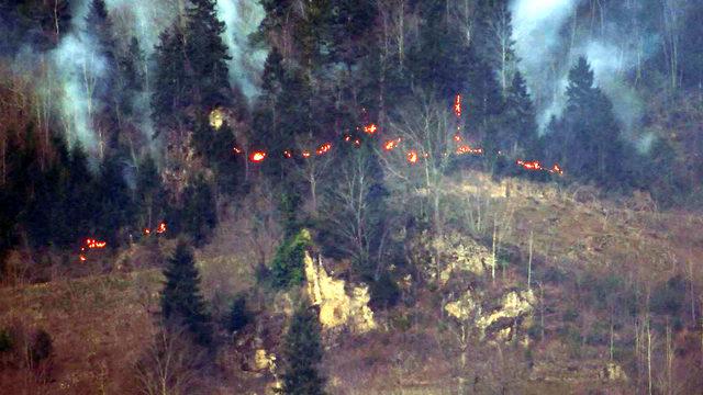 Karadeniz'de 69 noktada yangın: 5 ev yandı, tarım arazileri zarar gördü (4)