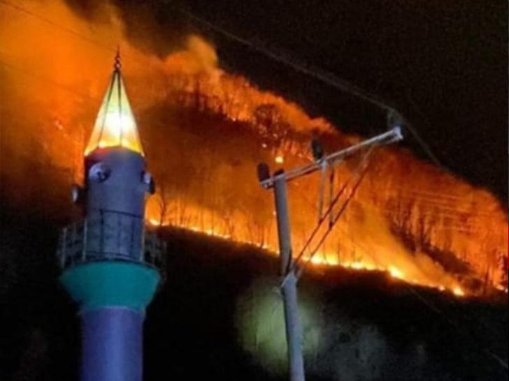 AFAD'dan Trabzon'daki yangınlar hakkında kritik uyarı