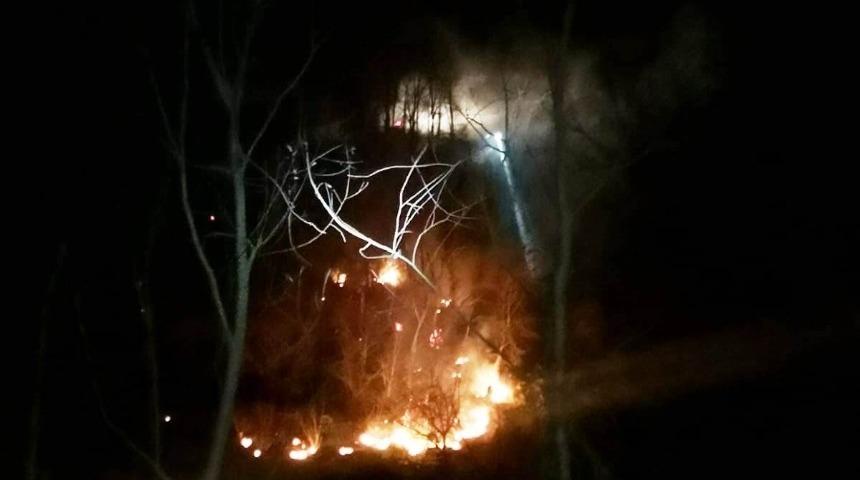 Orman yangınları korkuttu