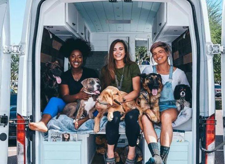 İşini sevgilisini bıraktı köpeğiyle tura çıktı! G4