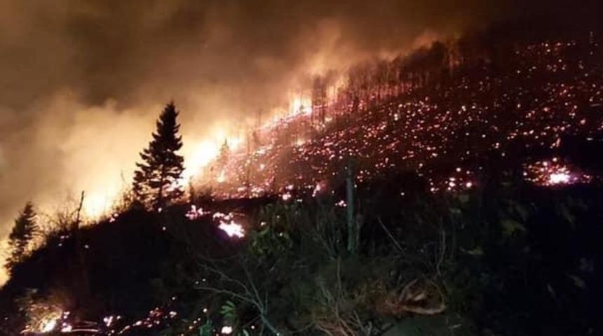 Son dakika: Orman Genel Müdürlüğü'nden Karadeniz'deki yangınlara ilişkin açıklama