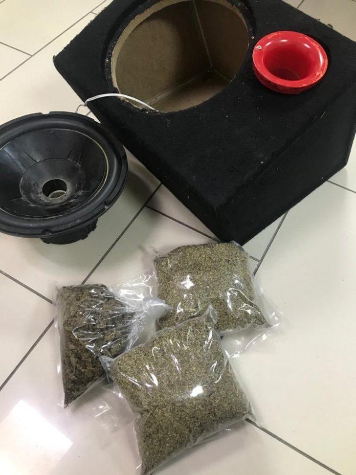 dünyanın en korkunç köpeği