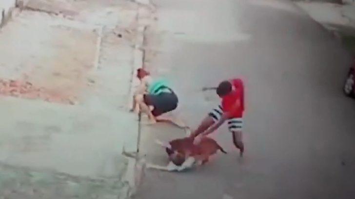 Pitbull çocuğa böyle saldırdı! Sokakta korkunç anlar G5