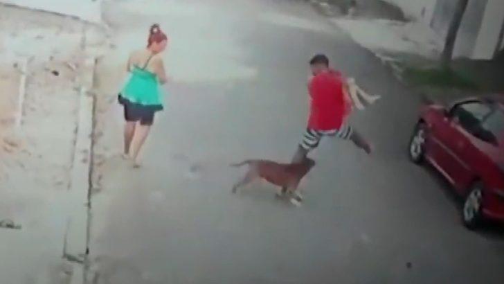 Pitbull çocuğa böyle saldırdı! Sokakta korkunç anlar G2