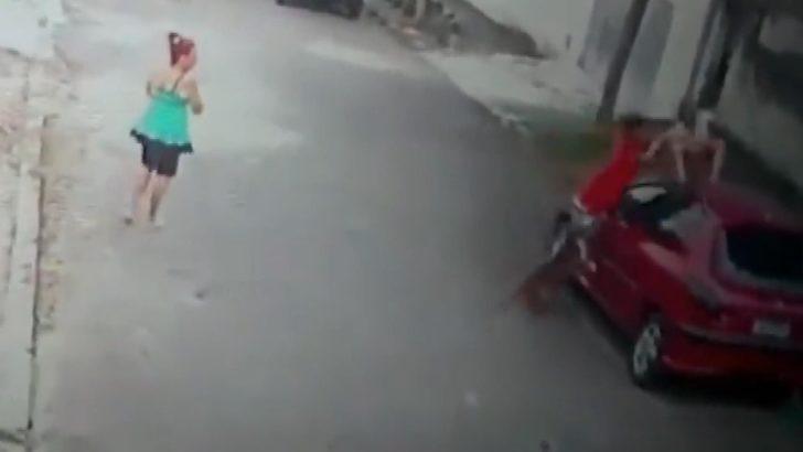 Pitbull çocuğa böyle saldırdı! Sokakta korkunç anlar G1