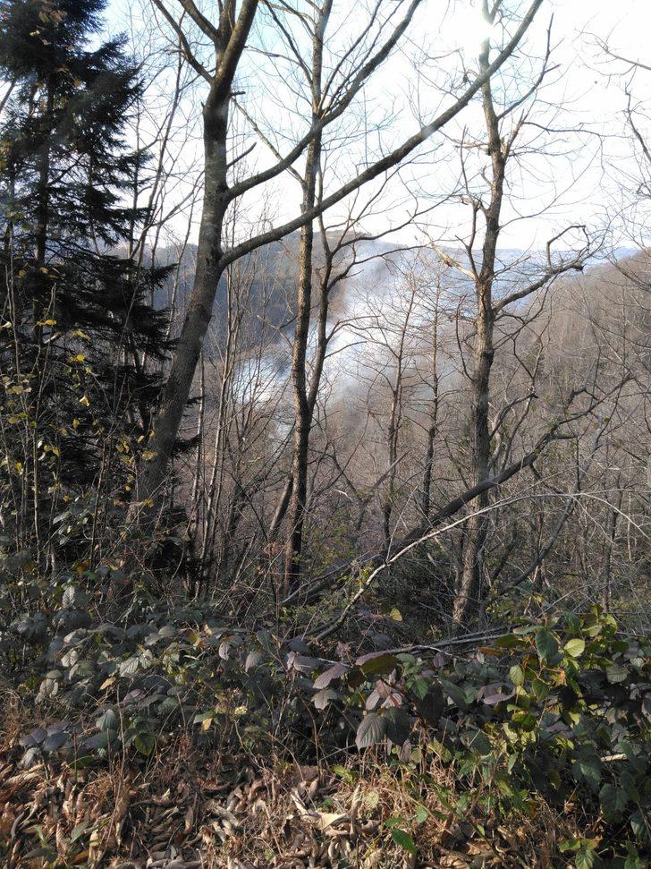 Orman Genel Müdürlüğü: Karadeniz'deki yangınların 38'i söndürüldü G2