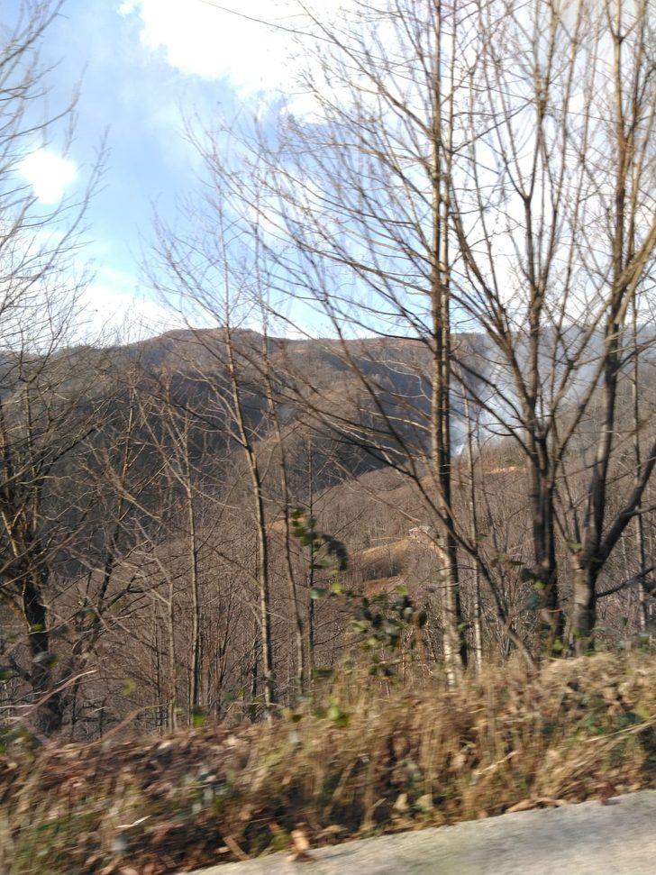 Orman Genel Müdürlüğü: Karadeniz'deki yangınların 38'i söndürüldü G3