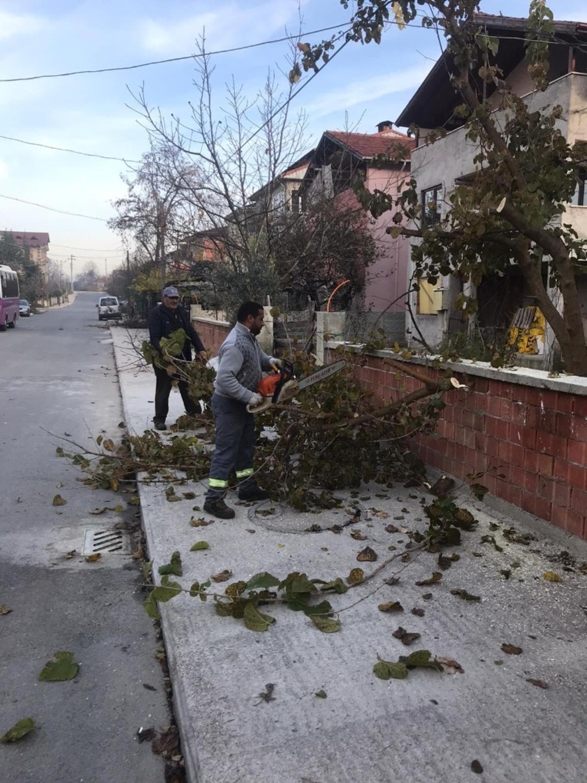Sapanca&rsquo;da lodos sonrası hummalı &ccedil;alışma