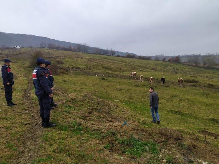 Kaybolan hayvanlarına jandarma sayesinde kavuştular G2