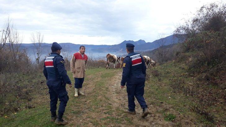 Kaybolan hayvanlarına jandarma sayesinde kavuştular G3