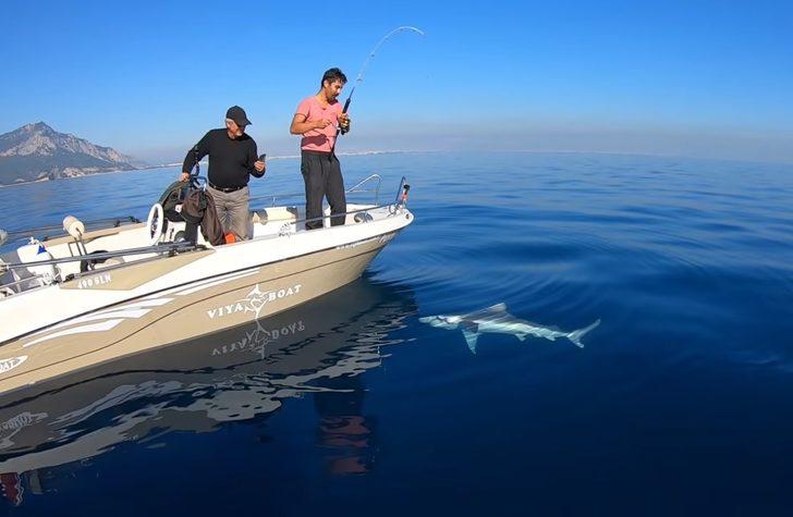 Antalya'da balıkçıların oltasına köpek balığı takıldı G3