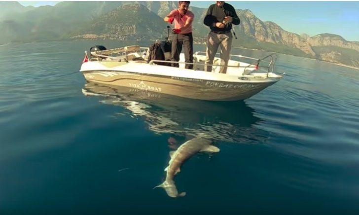 Antalya'da balıkçıların oltasına köpek balığı takıldı G4