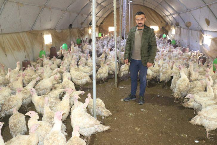 Eflani hindisi kolesterole iyi geliyor G3