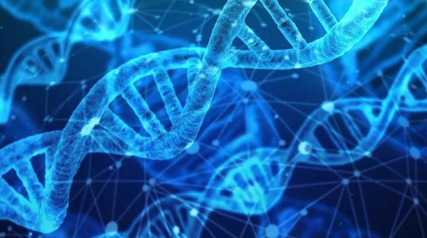 Genetik bilimindeki gelişmeler umut vadediyor