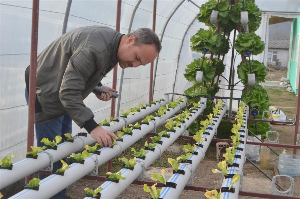 Kurduğu serada topraksız tarımla marul yetiştiriyor