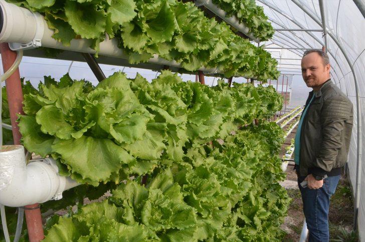 Kurduğu serada topraksız tarımla marul yetiştiriyor G4