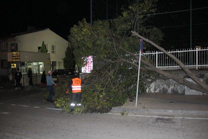 Samsun’da okul girişinde ağaç devrildi G2