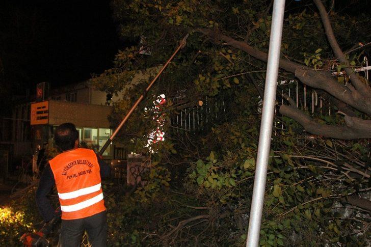 Samsun’da okul girişinde ağaç devrildi G3