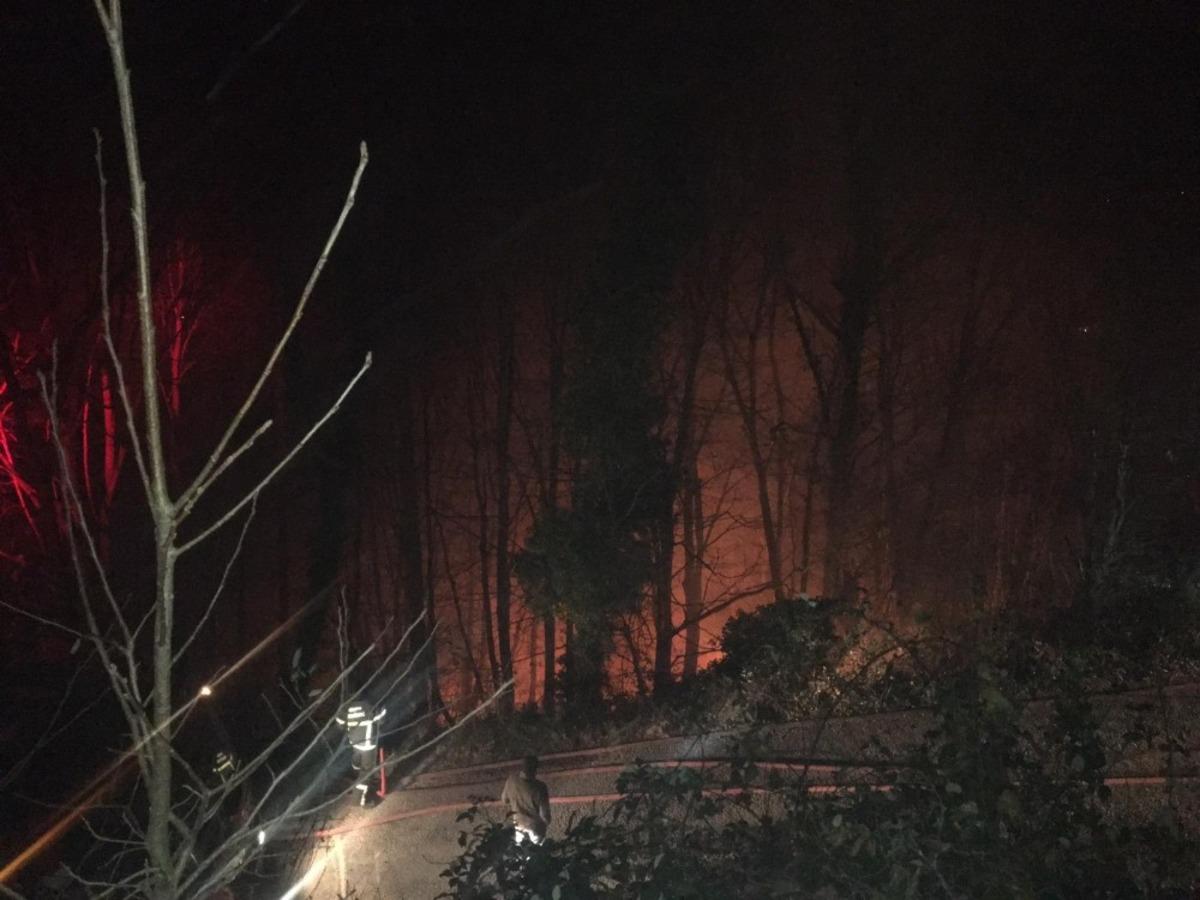 &Ccedil;atalpınar&rsquo;da orman yangını