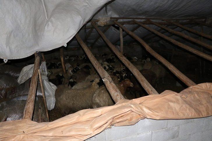 Erzincan’da fırtına çatıları uçurdu ağaçları kökünden söktü! G4