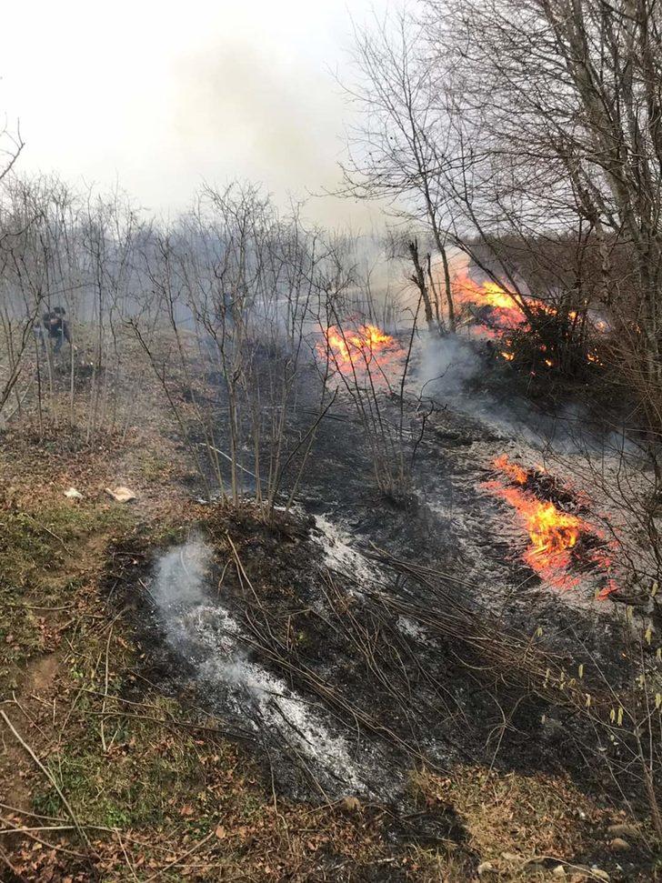 Karadeniz'deki yangınlar 5 ilde 71 noktada devam ediyor... Valiliklerden açıklama G1