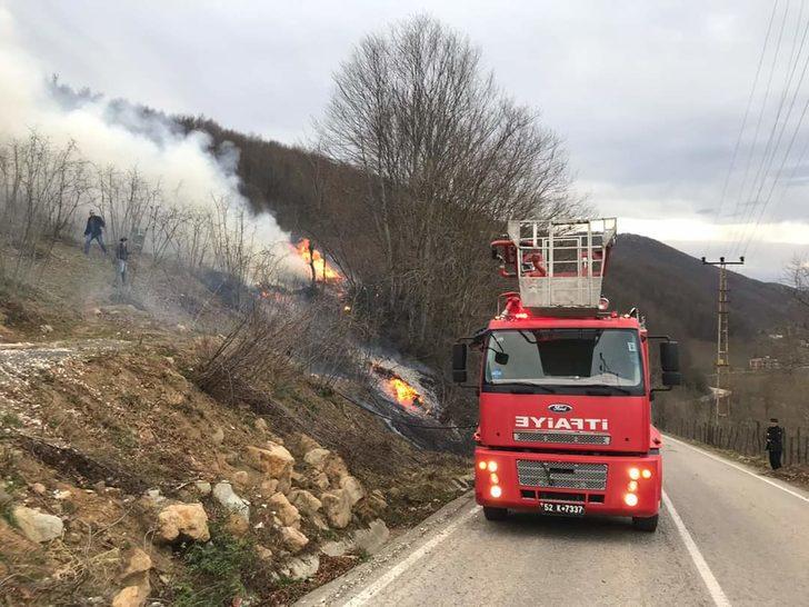Karadeniz'deki yangınlar 5 ilde 71 noktada devam ediyor... Valiliklerden açıklama G3