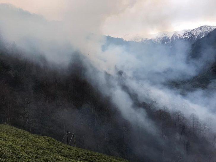 Karadeniz'deki yangınlar 5 ilde 71 noktada devam ediyor... Valiliklerden açıklama G5