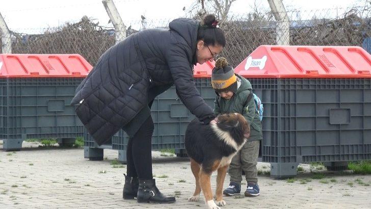 Hayvanseverlerden Mustafakemalpaşa’ya tam puan G1