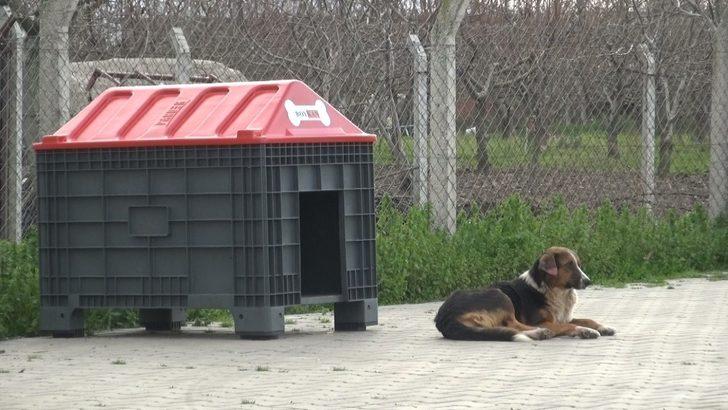 Hayvanseverlerden Mustafakemalpaşa’ya tam puan G5