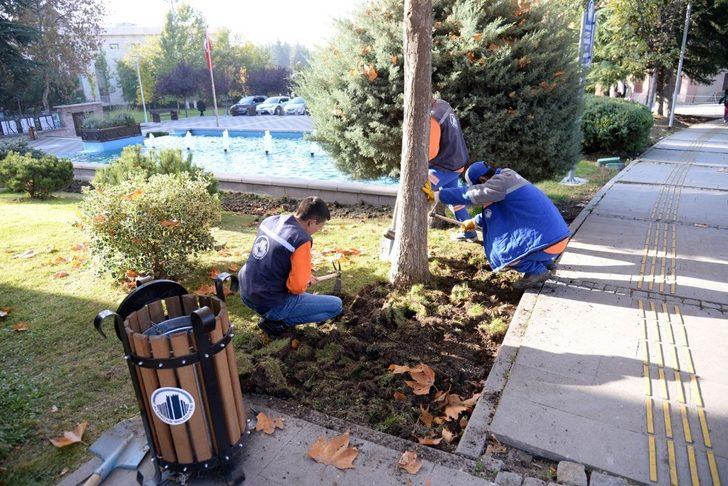 Hamamönü’nde bahar hazırlığı G3