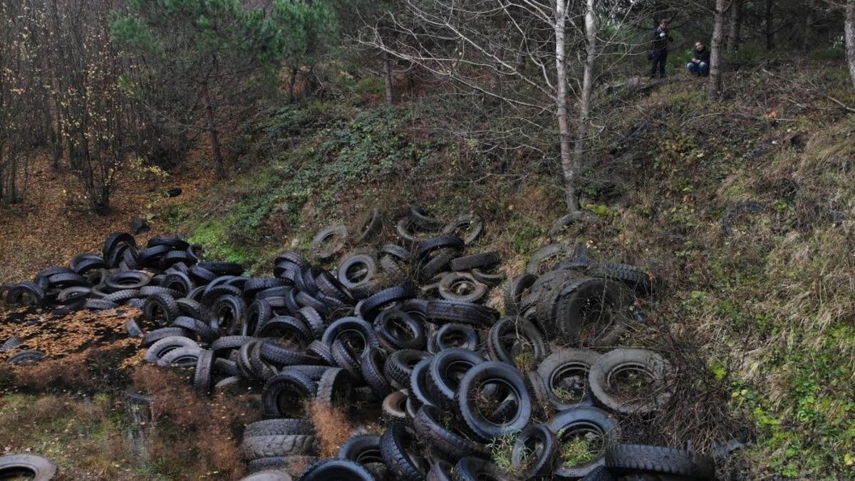 Y&uuml;zlercesi ormana bırakılmış! Gizemi &ccedil;&ouml;z&uuml;lemedi