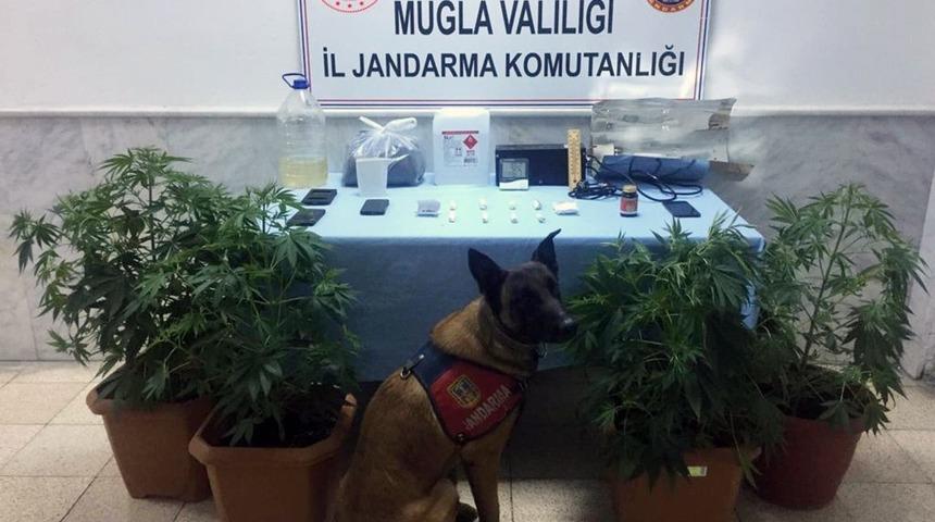 Jandarma&rsquo;nın &lsquo;Kaptan&rsquo;ından uyuşturucuya ge&ccedil;it yok