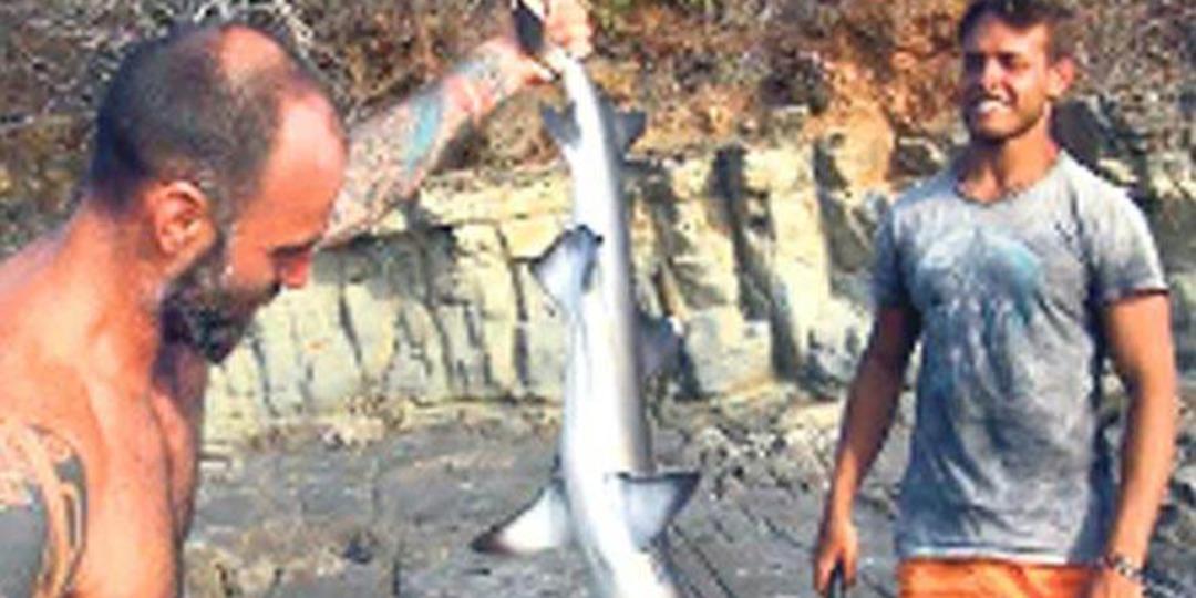 Survivor'da k&ouml;pekbalığı yakaladılar