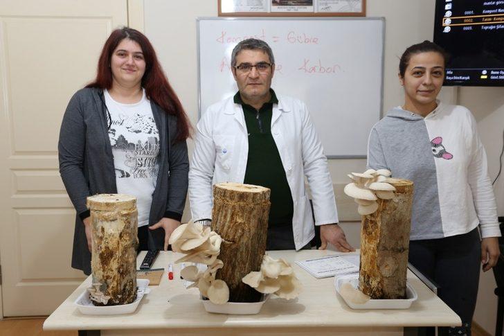 KO-MEK Mantar Yetiştiriciliği kursuna ilgi yoğun G2