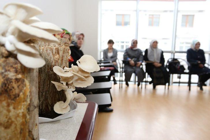 KO-MEK Mantar Yetiştiriciliği kursuna ilgi yoğun G3