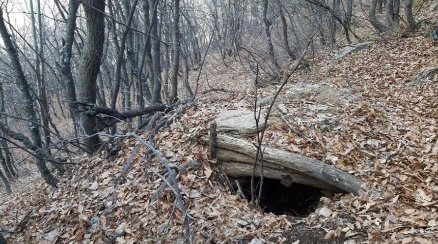 Bitlis’te “Kıran-8 Örenlik ve Kısıklı” operasyonları