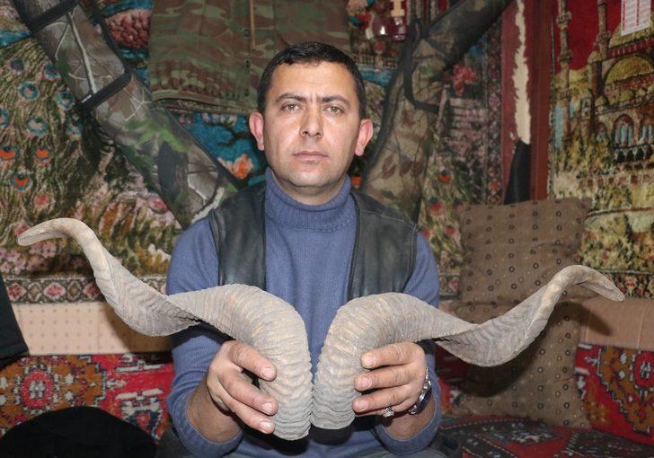 Kasaplardan toplanan boynuzlar, bıçak sapına dönüşüyor G2