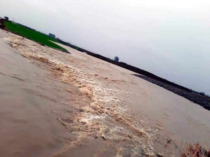 Adana sele teslim oldu (6) G2