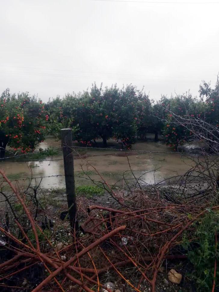 Adana sele teslim oldu (6) G5