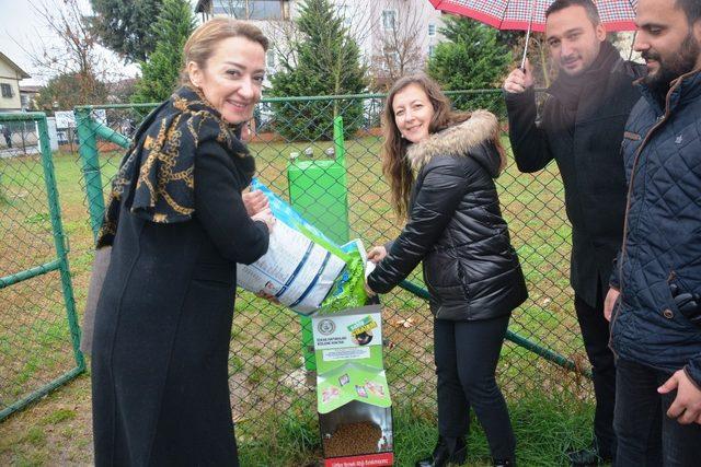 İzmit’te sokak hayvanları için anlamlı çalışma