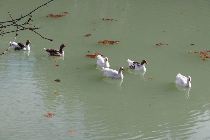  Denizli'nin gizli cenneti: Kusuru Gölü G2