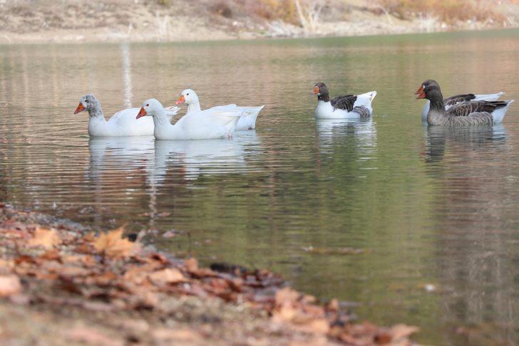  Denizli'nin gizli cenneti: Kusuru Gölü G1