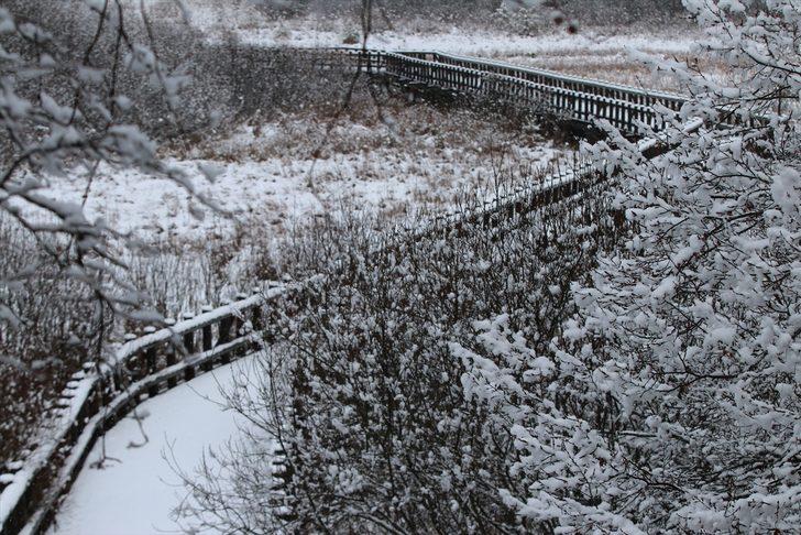 Kar Abant'ı beyaza bürüdü G3