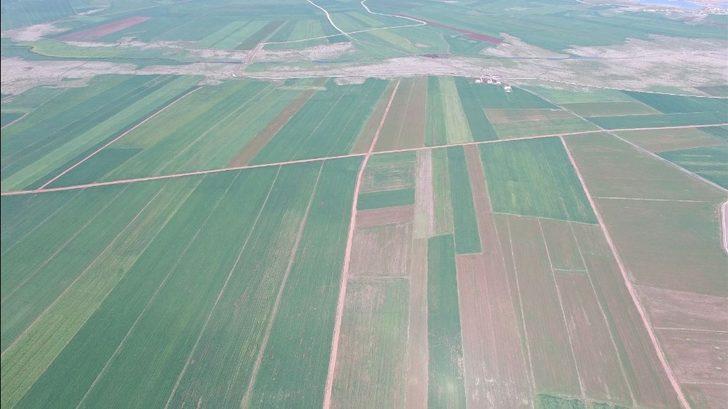 Diyarbakır’da 40 bin 550 dekar alan toplulaştırıldı G1