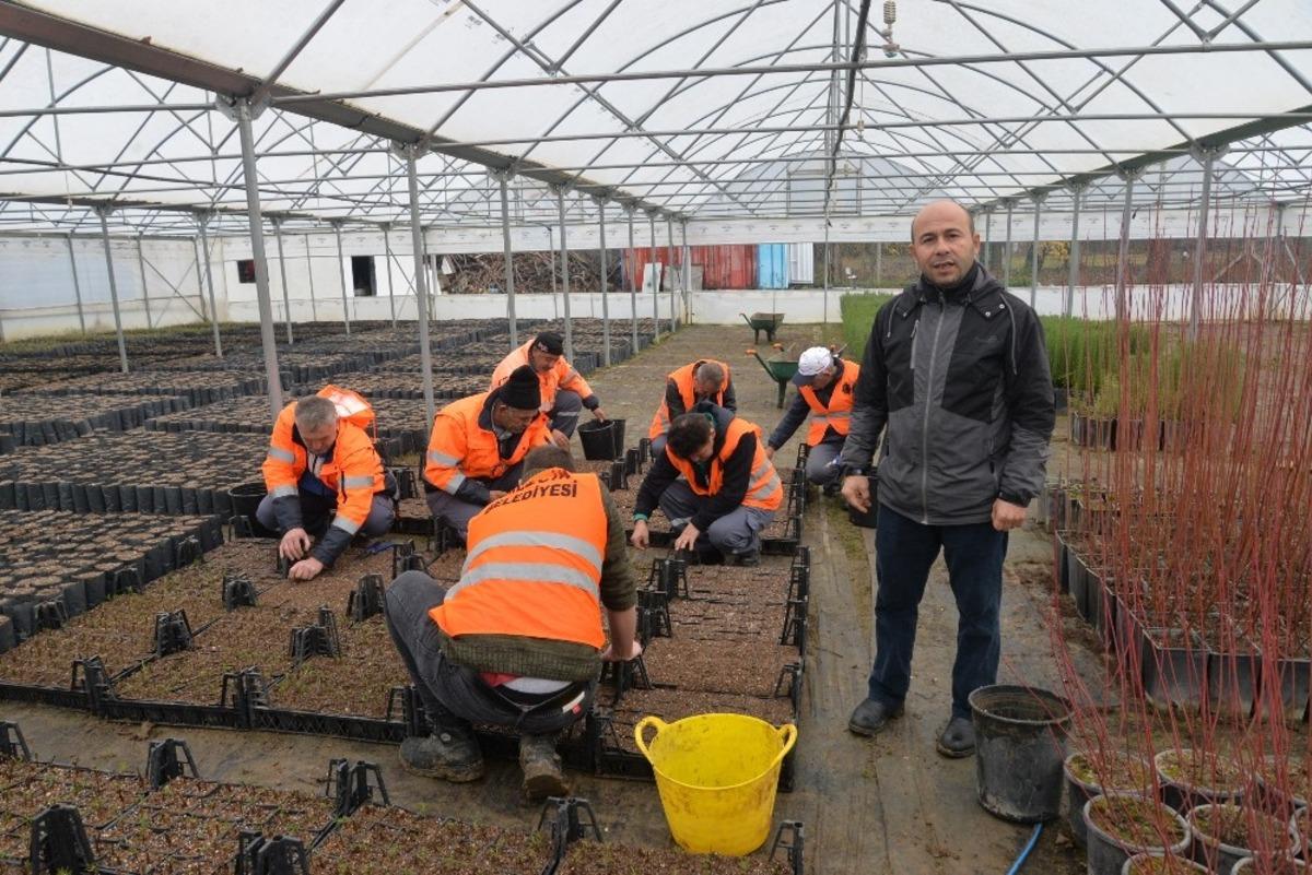 Kışın &uuml;retilen bitkiler baharda toprakla buluşuyor