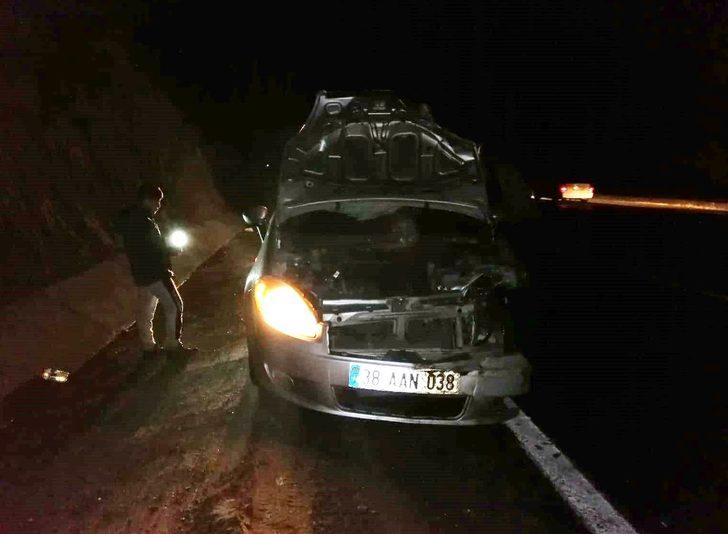 Yola fırlayan domuza çarpan otomobil kullanılamaz hale geldi G1