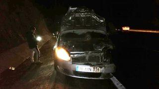 Yola fırlayan domuza çarpan otomobil kullanılamaz hale geldi