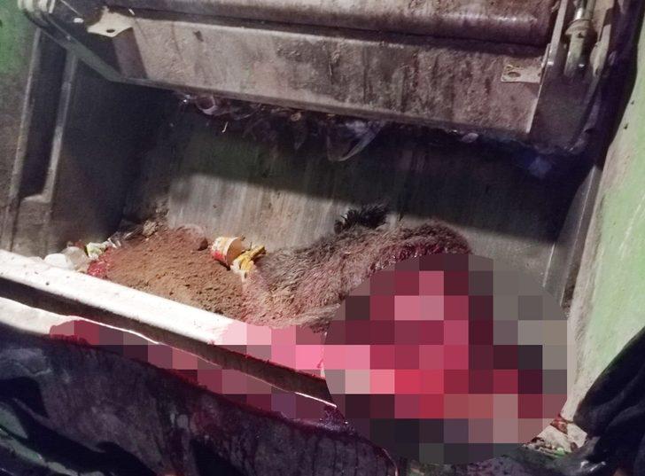 Yola fırlayan domuza çarpan otomobil kullanılamaz hale geldi G3